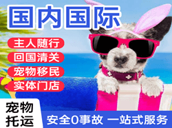 珠海金湾国际宠物托运 【国