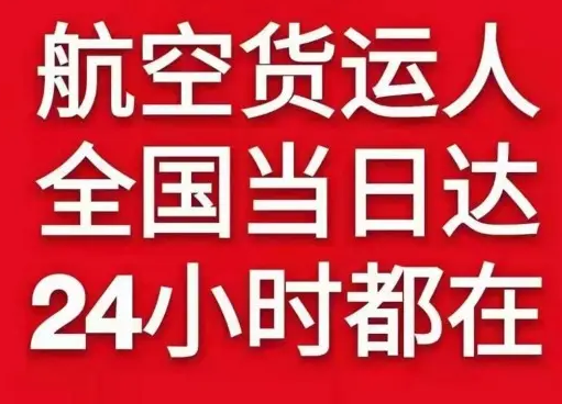 珠海金湾货物、航空货运:物流行业各岗位招聘